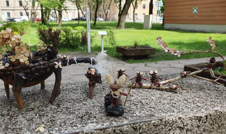 Floristikas darbu izstāde