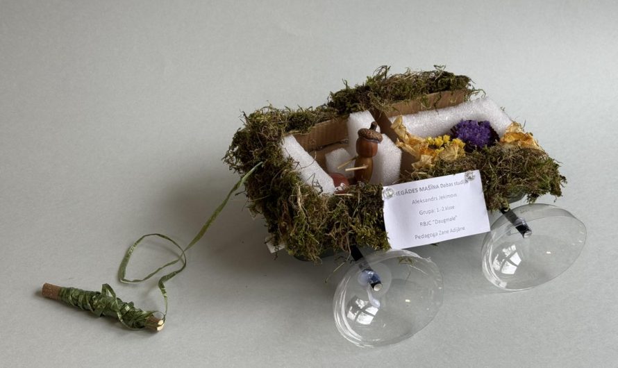 Dabas studijas audzēkņi piedalījās konkursā – izstādē “Lido. Peld. Brauc. 2025” 