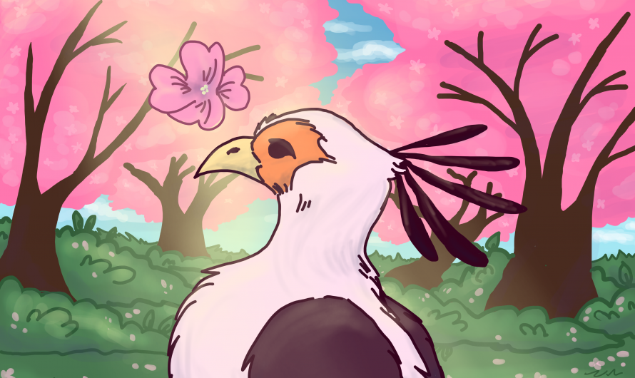 Animācijas un virtuālās grafikas datoru studija gatavojās atskaites izstādei